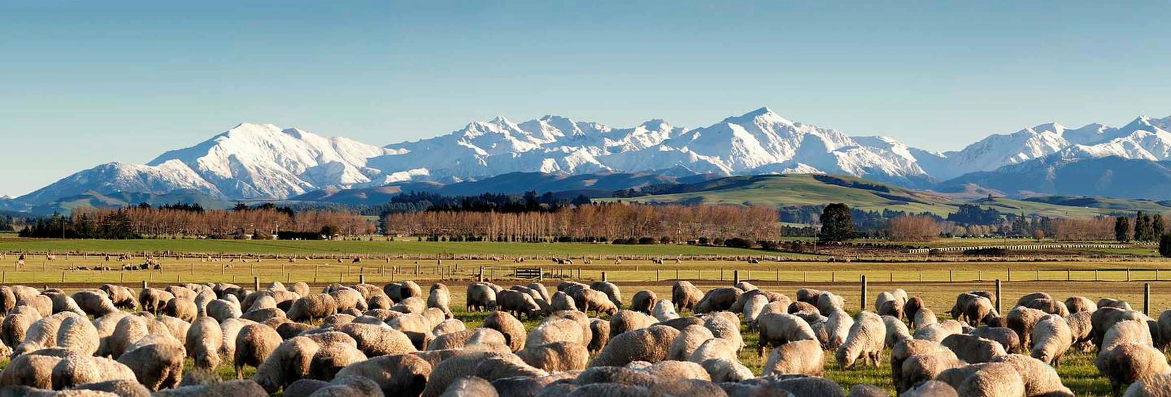 Winton NZ Landscape